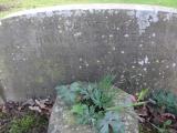 image of grave number 171527